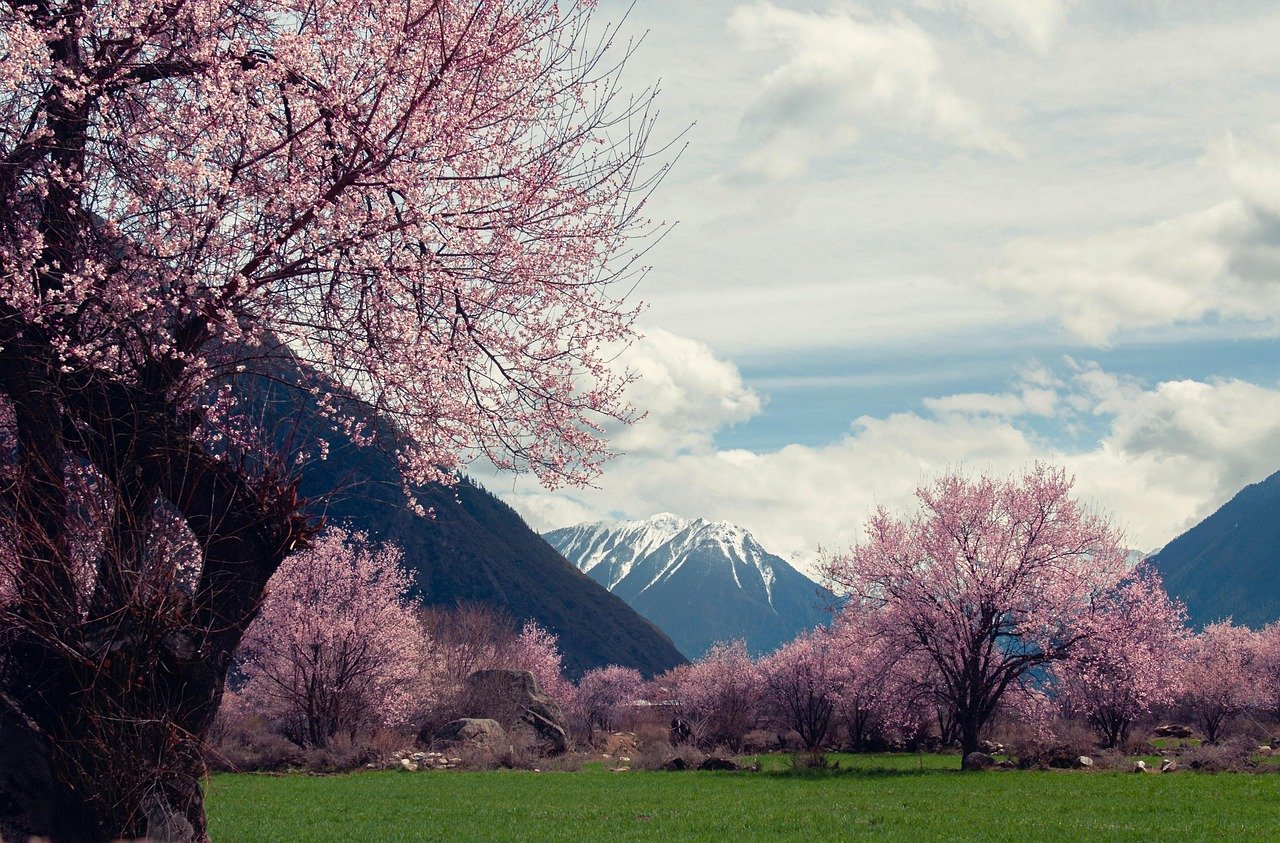6-Day Lhasa & the Alps of Tibet (Nyingchi)