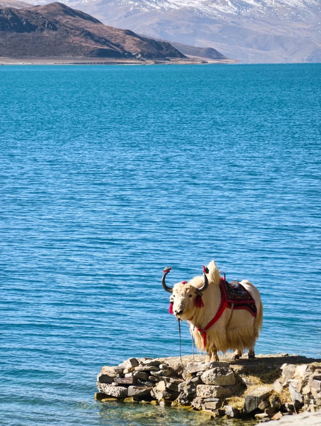 13-Day Mount Kailash Kora Pilgrimage