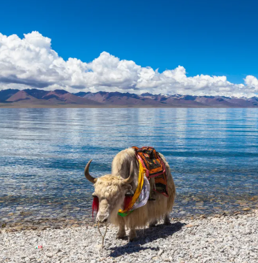 Day 8: Lhasa –Namtso Lake–-Lhasa photo